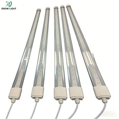 Taimekasvatuse tuled