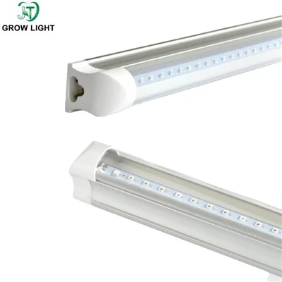 Kommerts kasvuhoone LED kasvab valgust